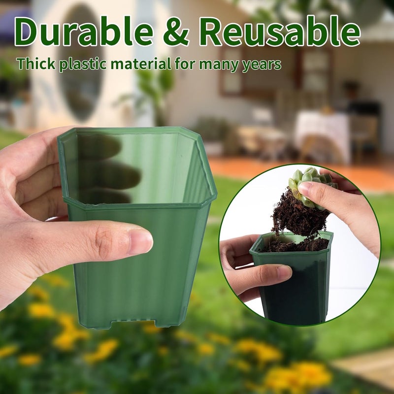 Foxany 3 Inch Transparent Green Nursery Pots, 30 Pcs Thick Plastic Plant Pot, Square Flower Planting Pots Variety Pack, Seedling Planter Starter Pots with Saucers for Garden - Image 4